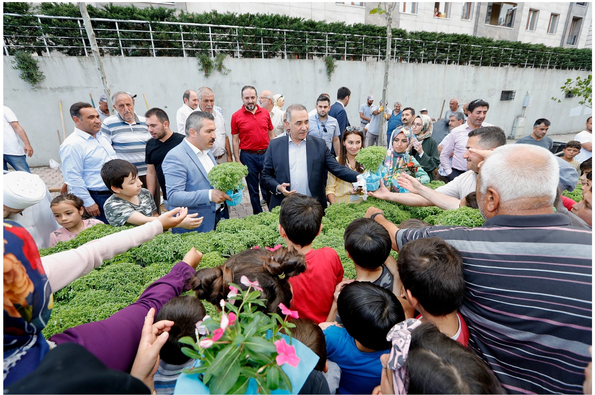 Sultangazi'de Sokaklar Ağaç Fideleriyle Buluşuyor