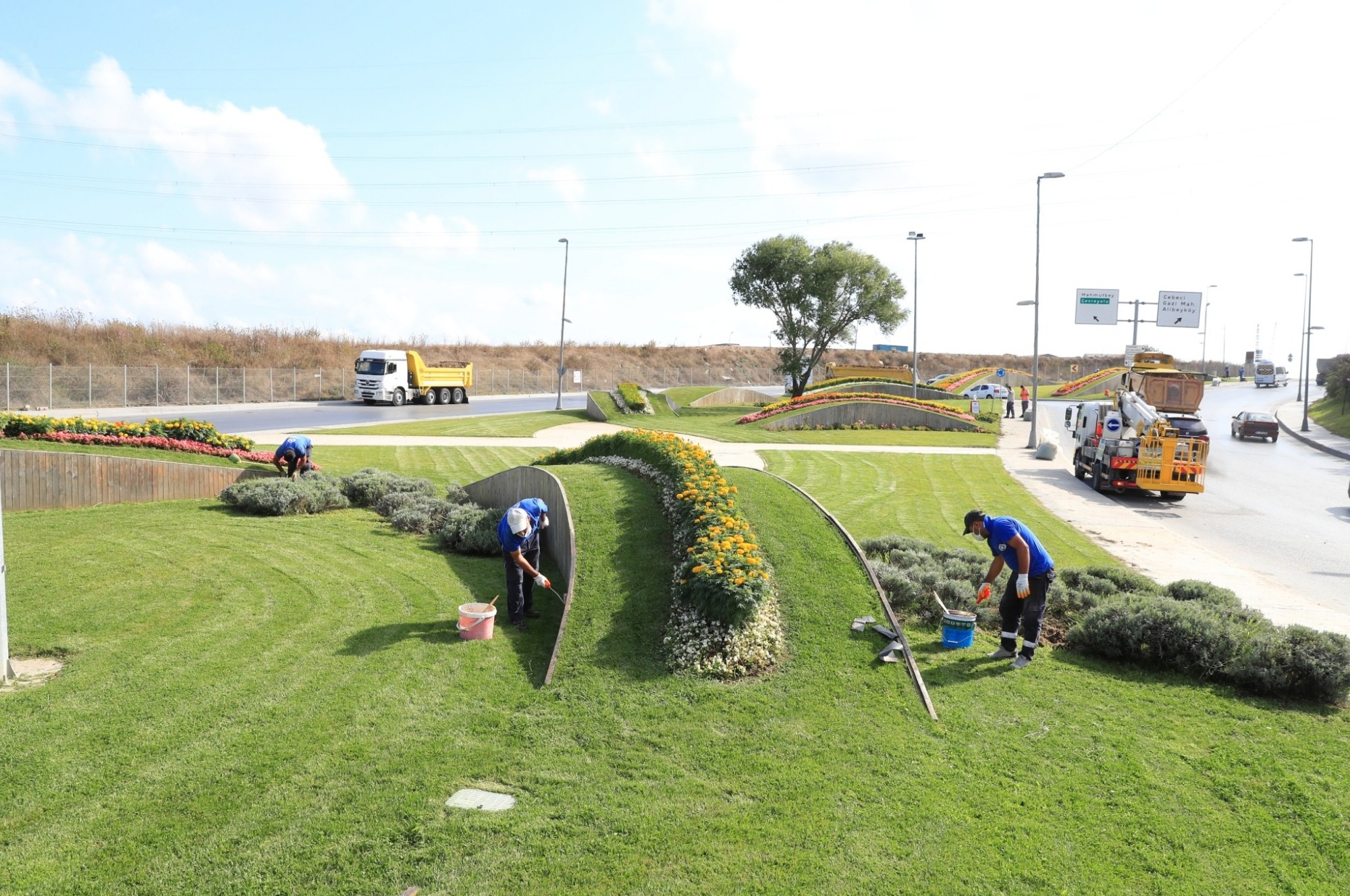 Park ve Yeşil Alanlara Bakım